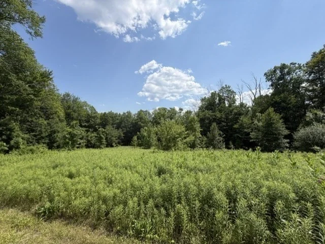 Photo of 26 Deer Run
