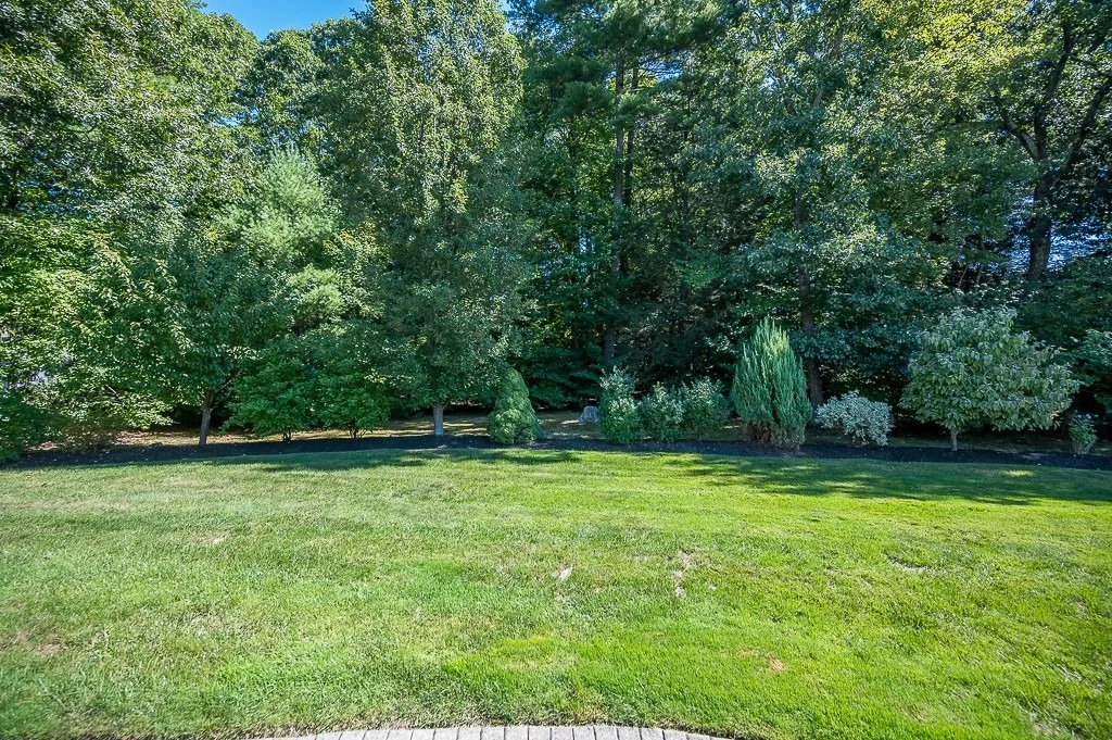 Photo of 81 Nicholas Dr