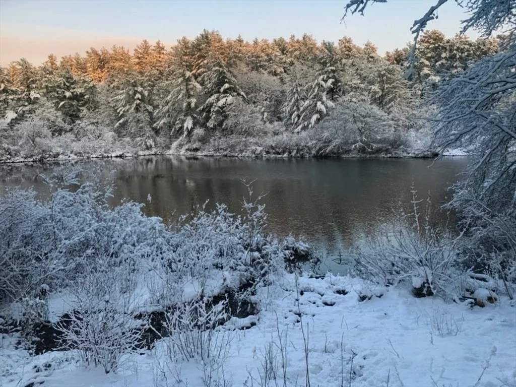 Photo of 10 Pond Edge Trl