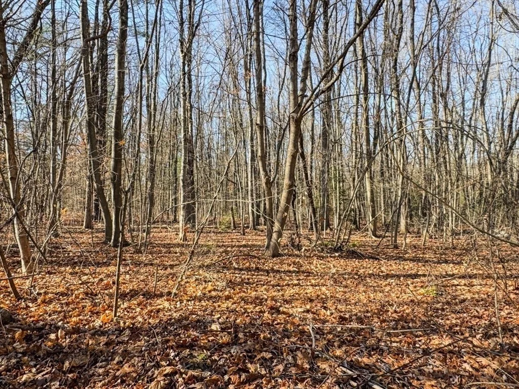 Photo of 74 Petty Plain Road