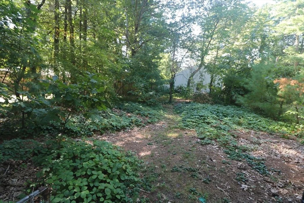 Photo of 27 Henry St