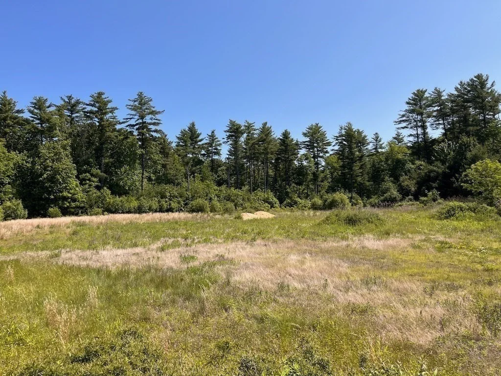 Photo of 0 Palmer Rd