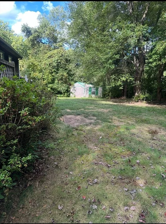 Photo of 19 Burt St