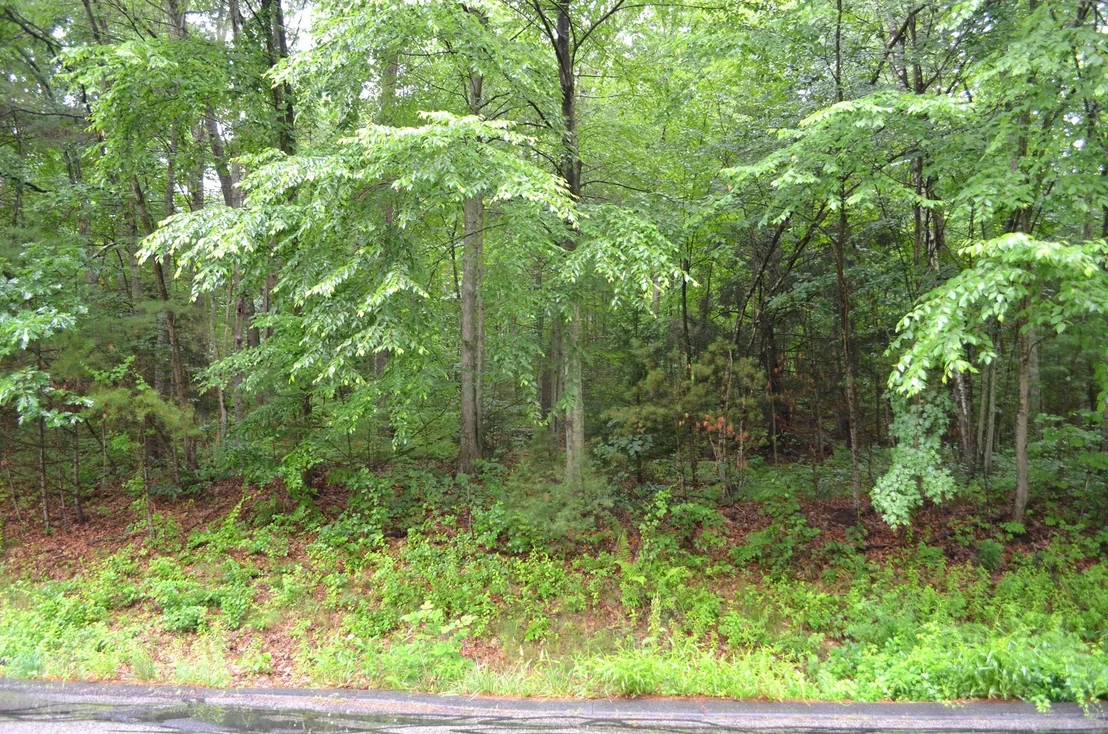 Photo of Lot 5 Babcock Tavern Rd