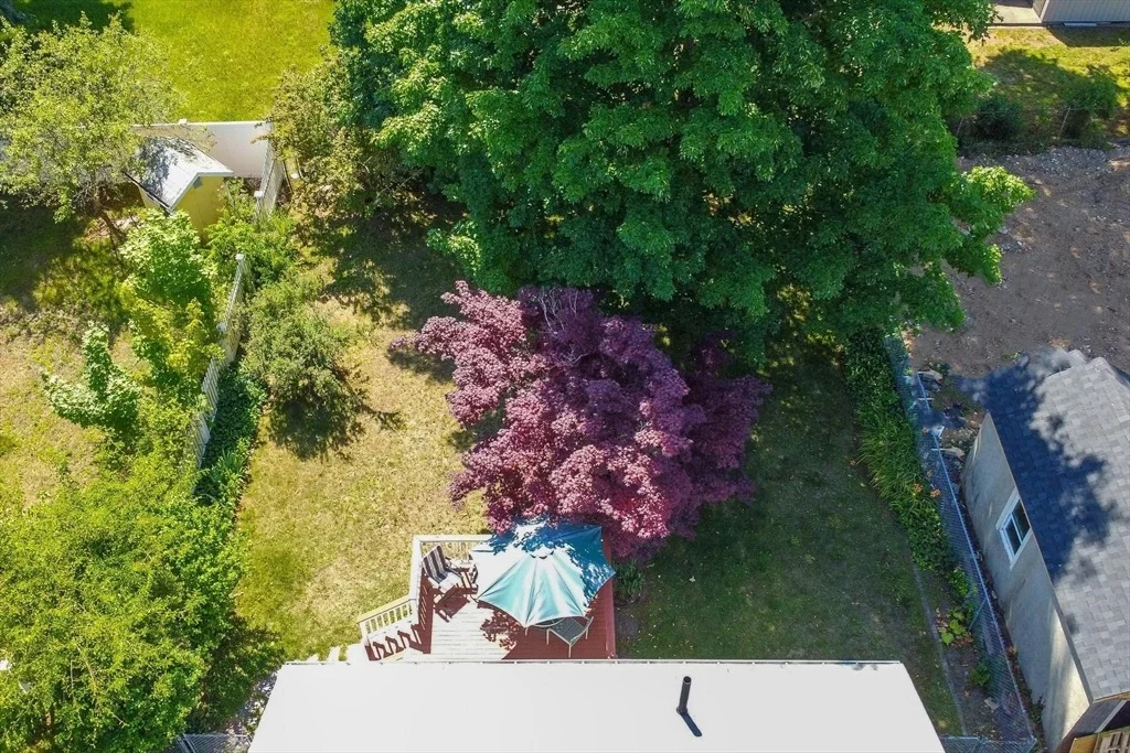 Photo of 8 Ames Street