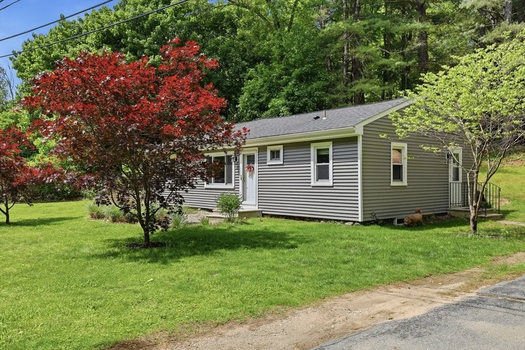 Photo of 20 Jamieson Road