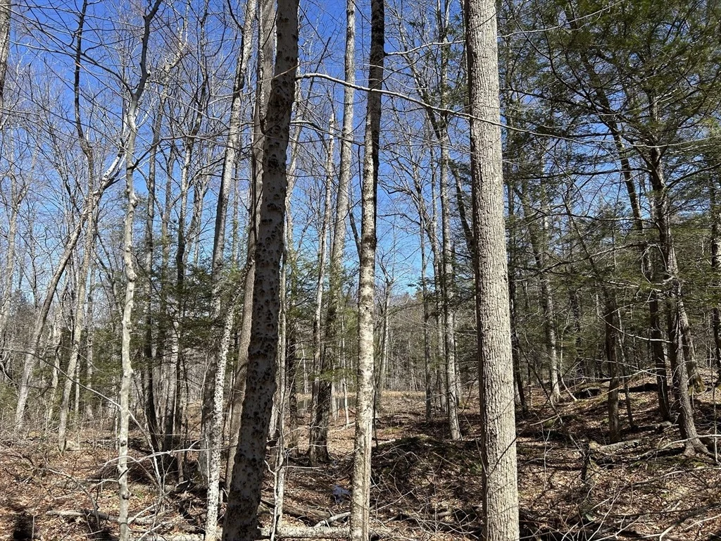 Photo of 71 Dodge Rd
