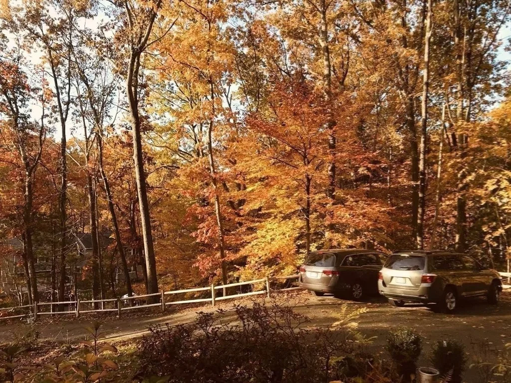 Photo of 29 Dewey Rd
