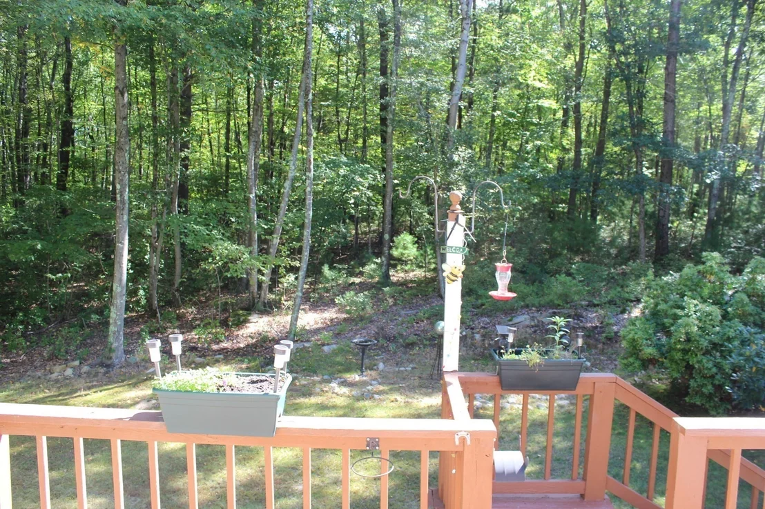 Photo of 16 Wallum Lake Rd