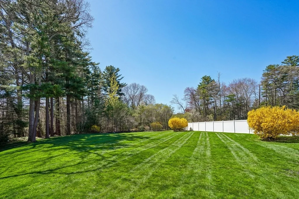 Photo of 20 Walnut Hill Dr