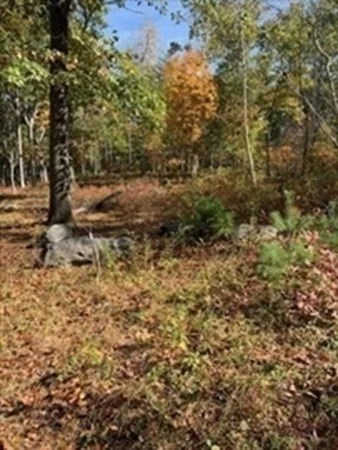 Photo of 115 Quarry Road