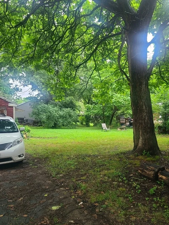 Photo of 8 White St