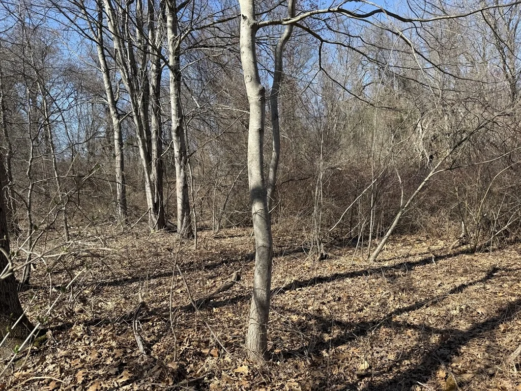 Photo of 277 River Drive