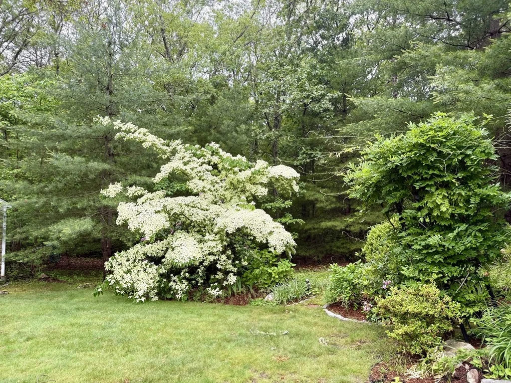 Photo of 160 Coachman Ln
