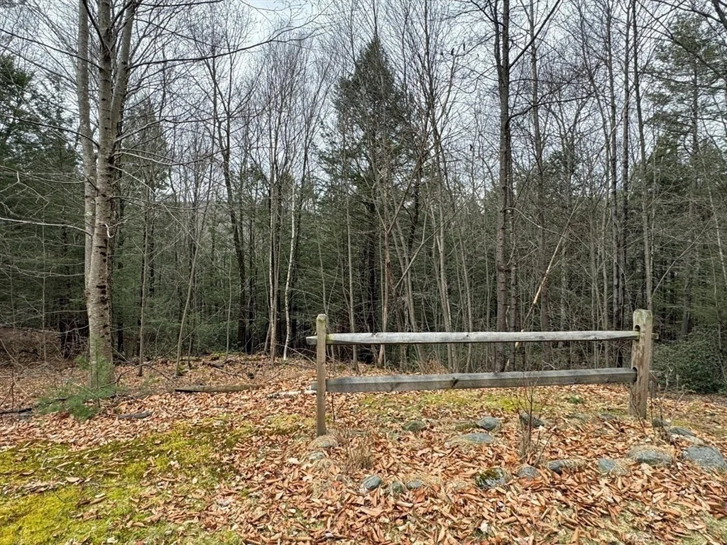 Photo of 492 Bald Mountain Road