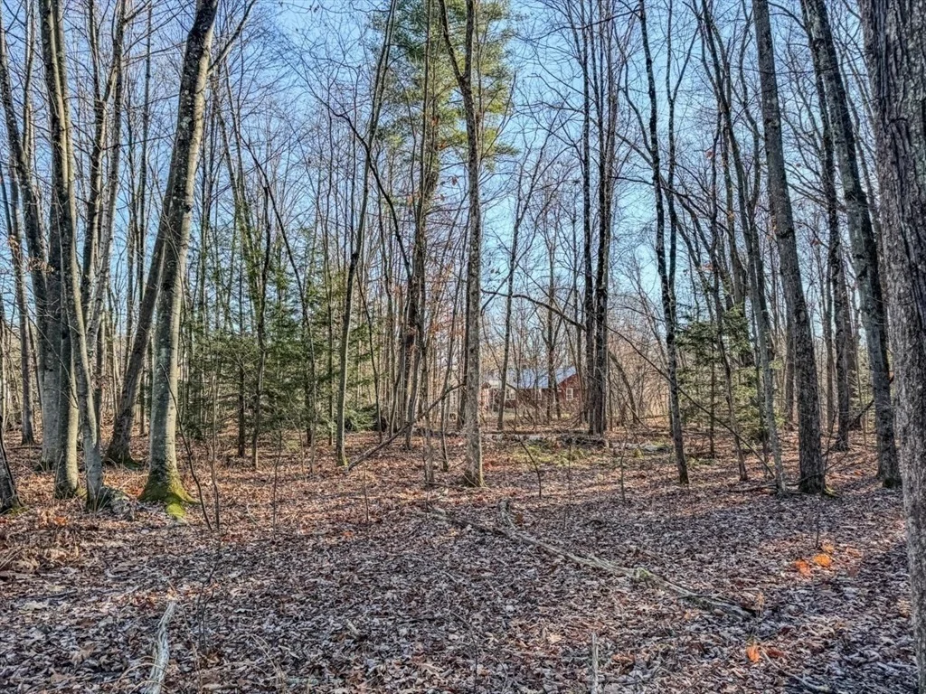 Photo of 74 Petty Plain Road