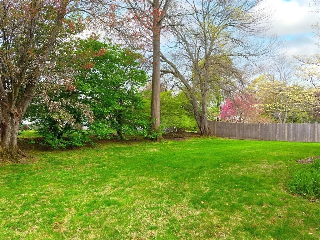Photo of 40 Dunster Rd