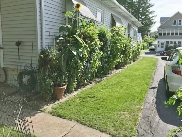 Photo of 309 Hillside Ave