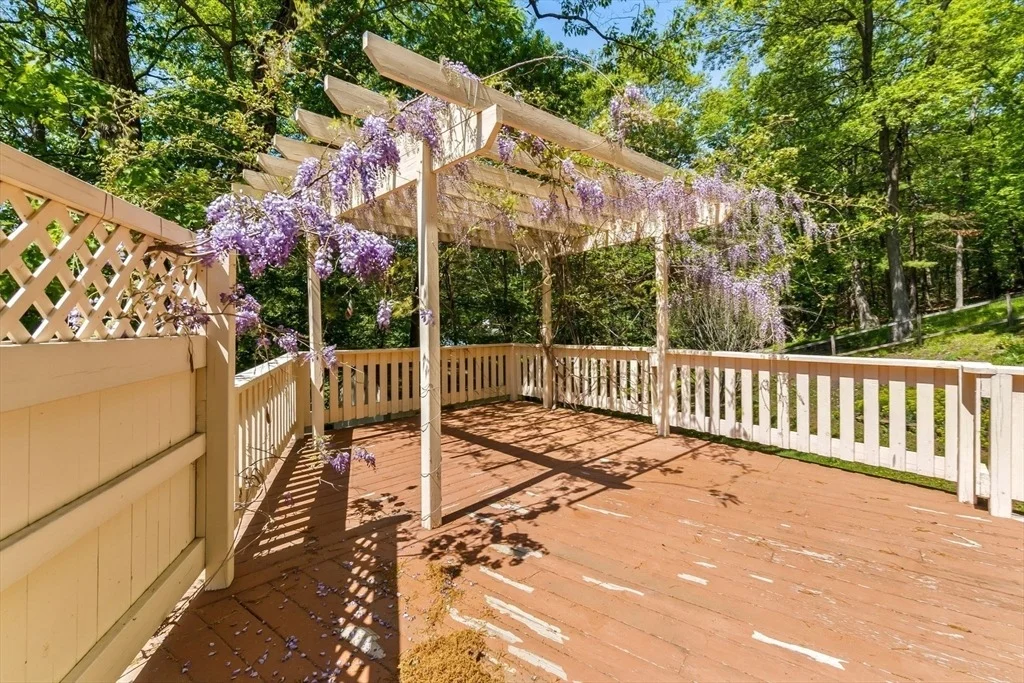 Photo of 12 Wildwood Road