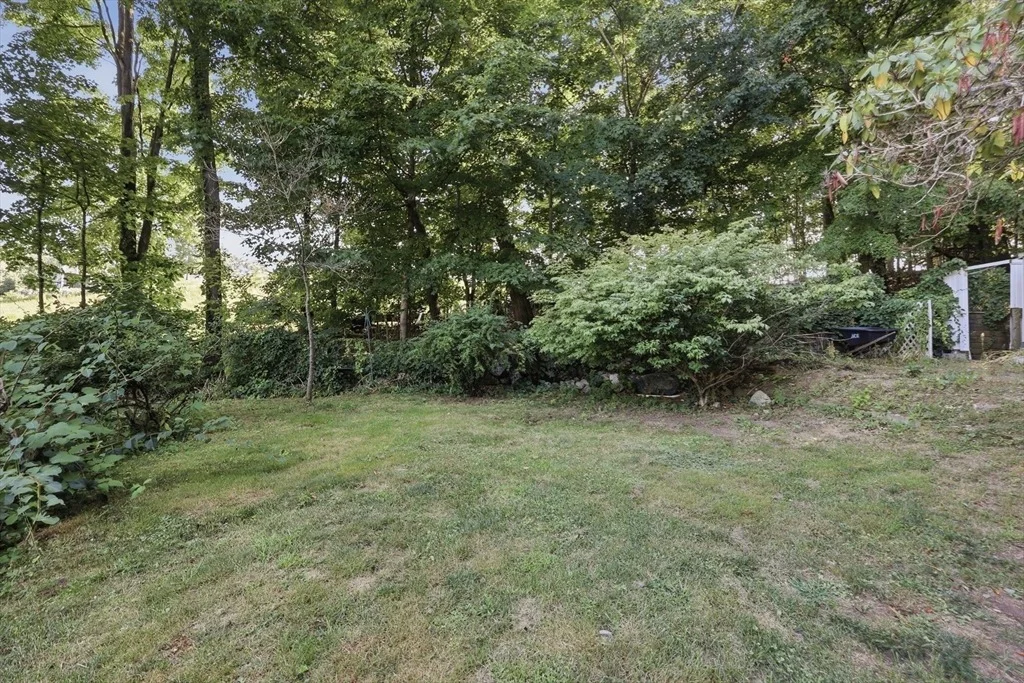 Photo of 79 Waverly Rd