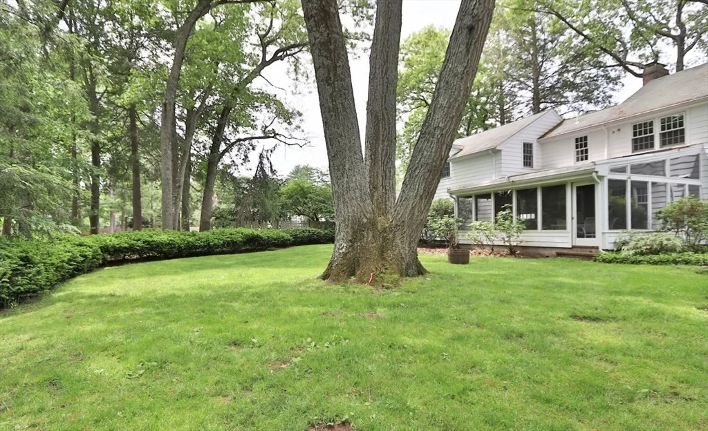 Photo of 19 Pine Needle