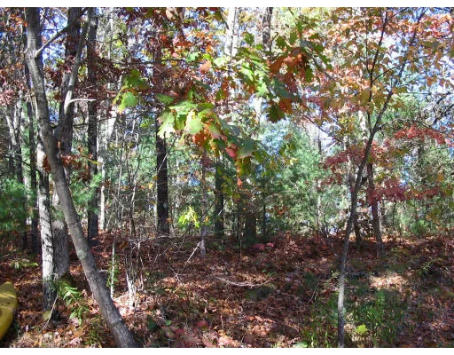 Photo of 36 Mill Rd