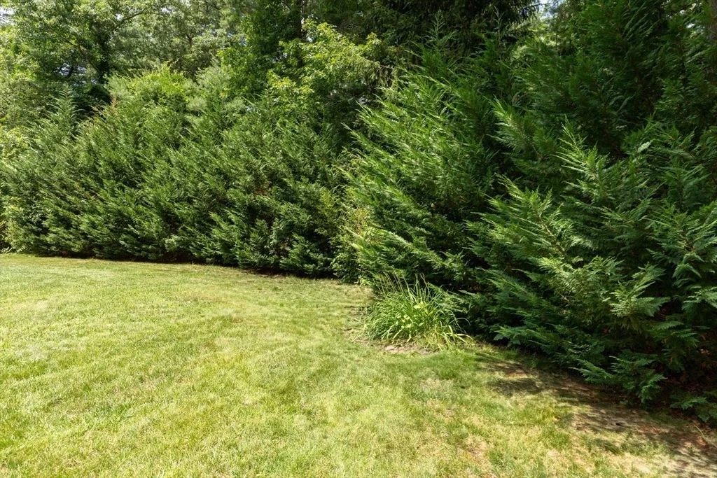 Photo of 15 Deerfield Dr