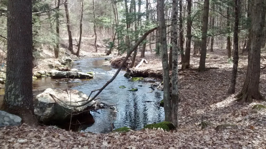 Photo of 12 Point Eastalee Drive