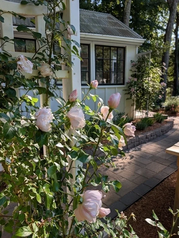 Photo of 101 Hunter Rd