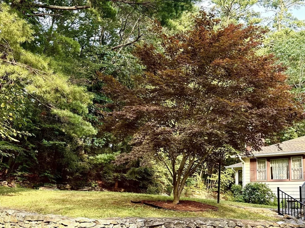 Photo of 35 Carleton Rd