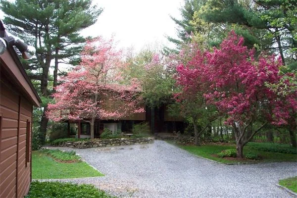 Photo of 46 Robinson Road