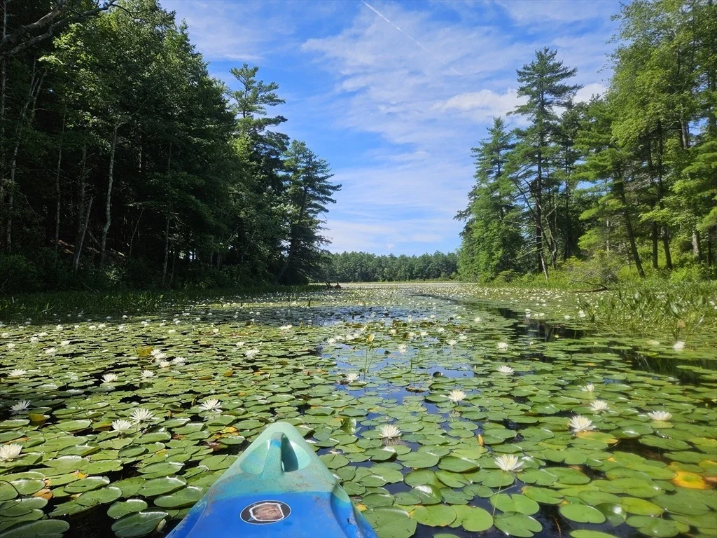 Photo of 0 Branch Bridge Rd