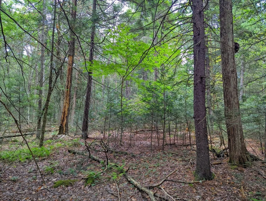 Photo of 0 Hamilton Rd
