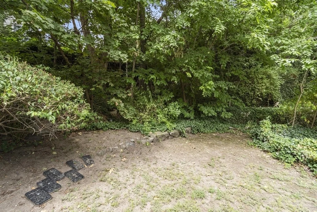 Photo of 219 Walnut Street