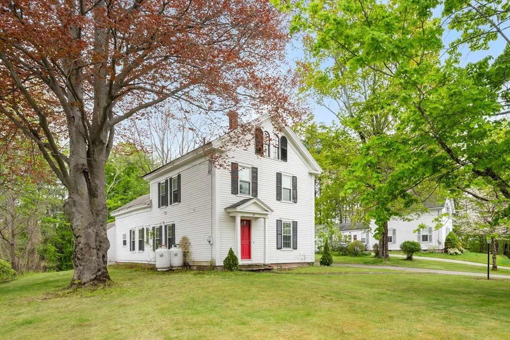 Photo of 10 Maple