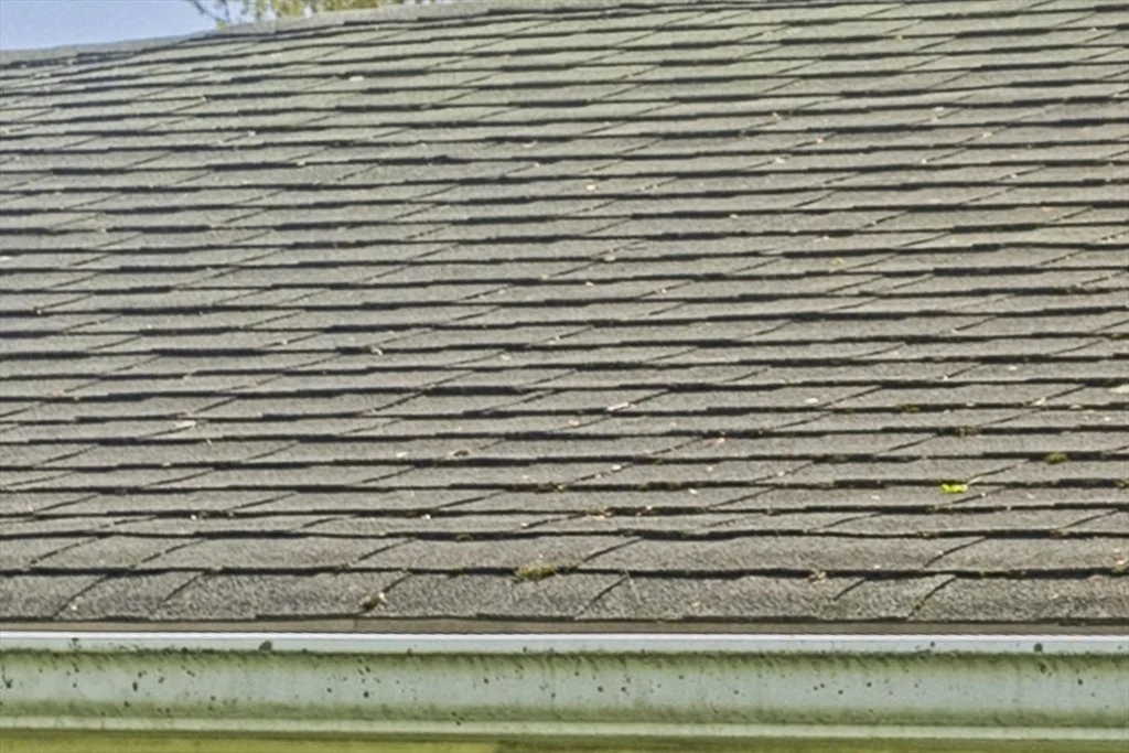 Photo of 135 Lucerne Road