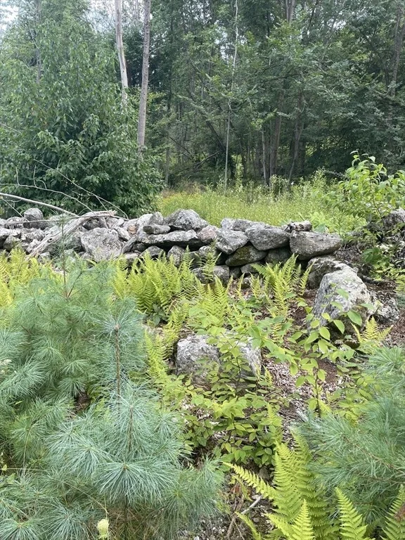 Photo of 208 Erickson Rd