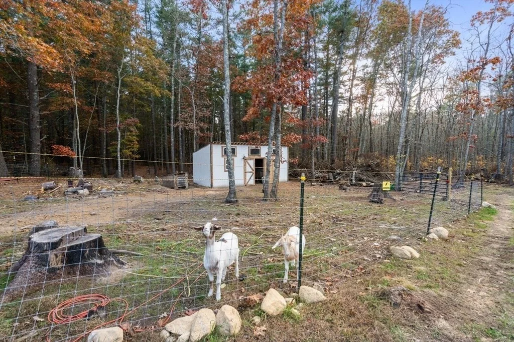 Photo of 75 Walnut Plain Rd