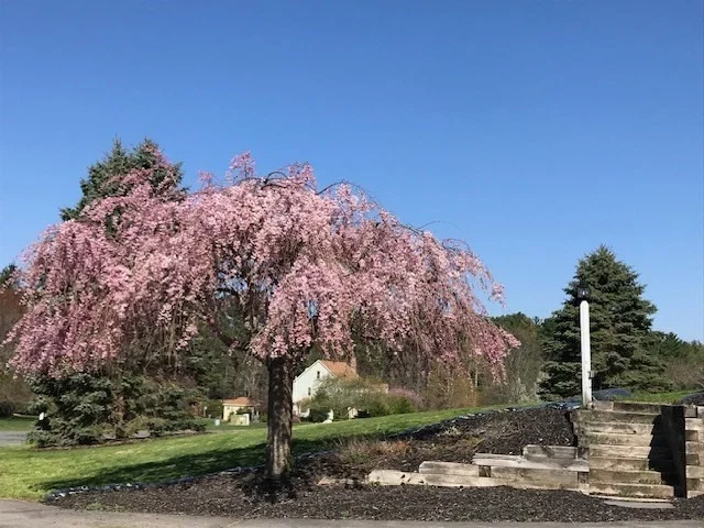 Photo of 25 Autumn Rd