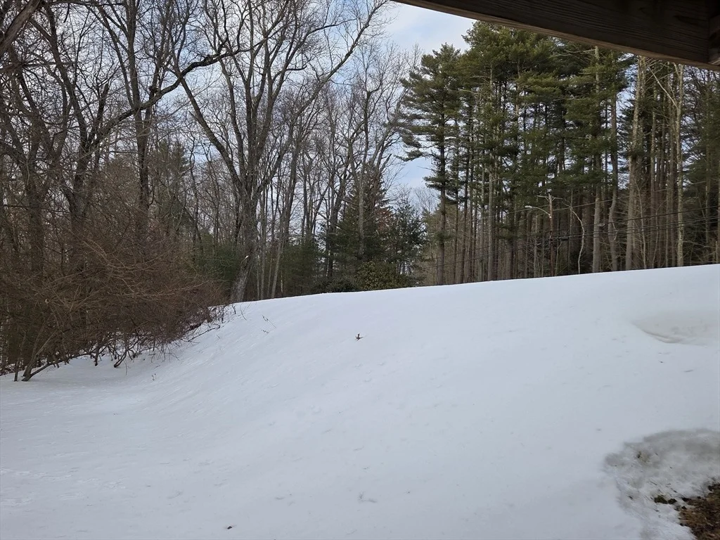 Photo of 366 Southbridge Rd