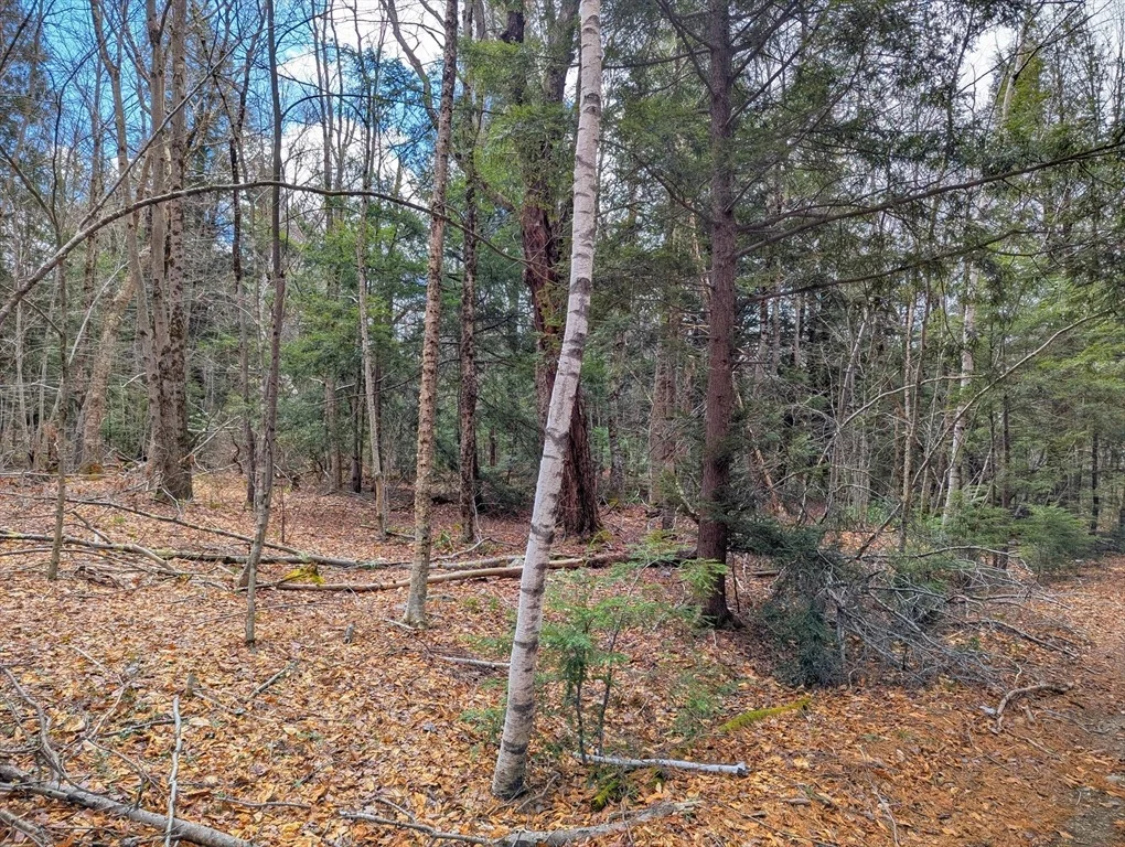 Photo of 0 Johnson Rd