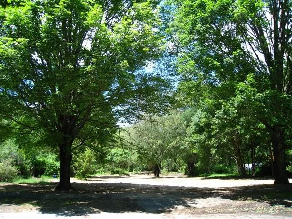 Photo of 135 Minot Road