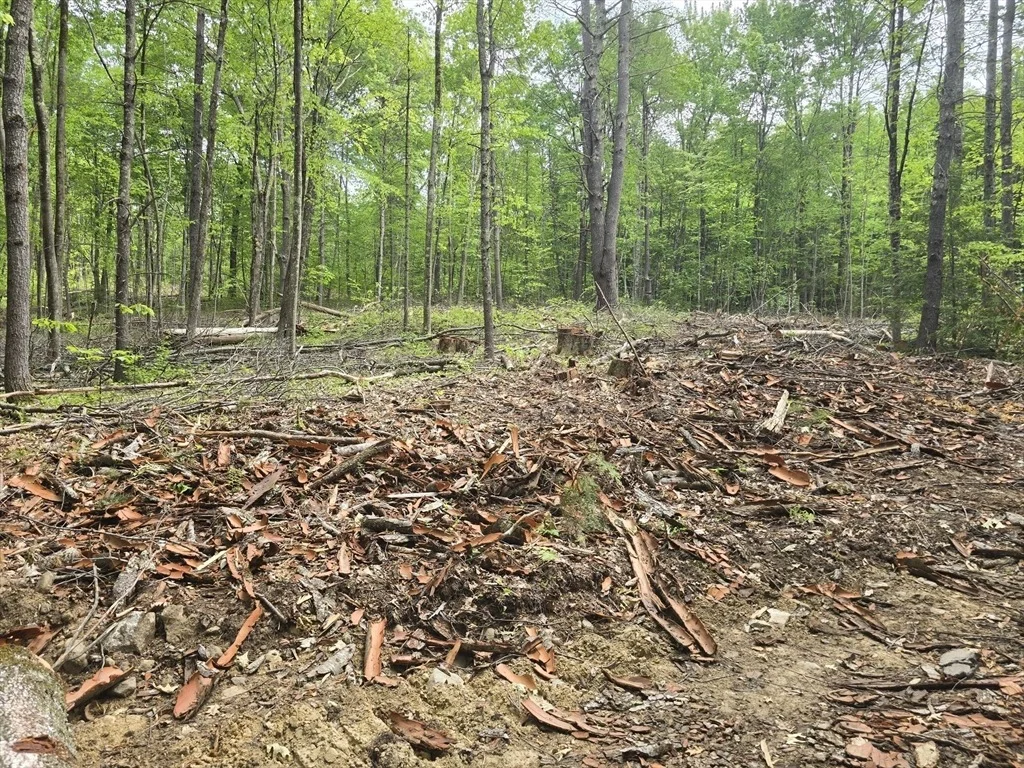 Photo of 0 Daniel Shays Highway