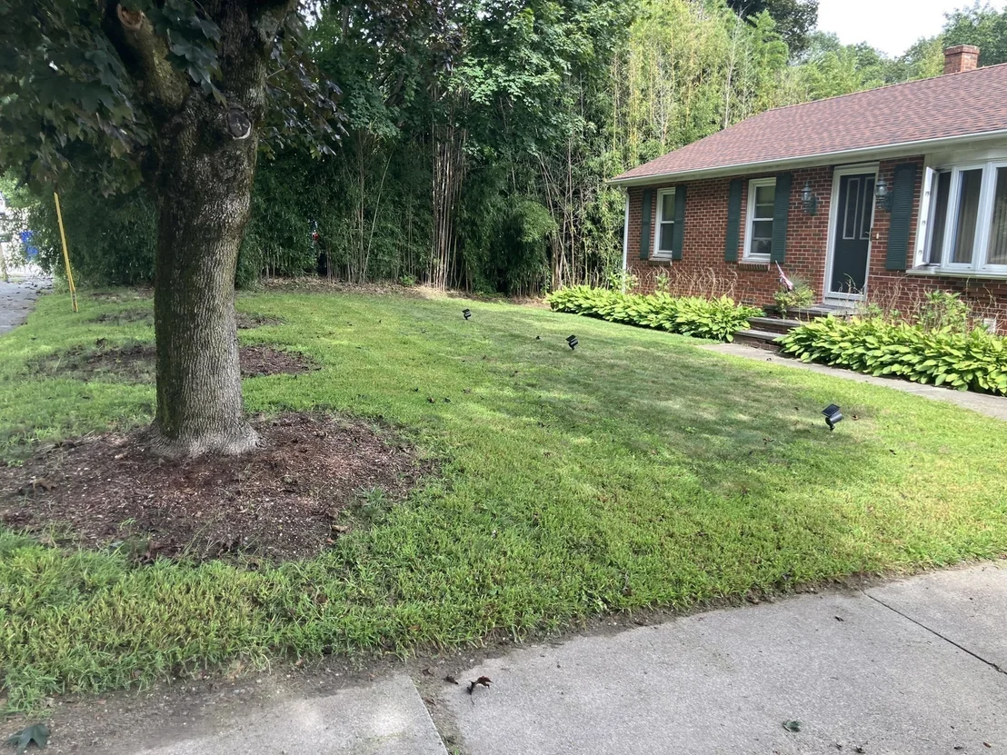 Photo of 770 County Street