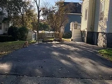 Photo of 250 May St