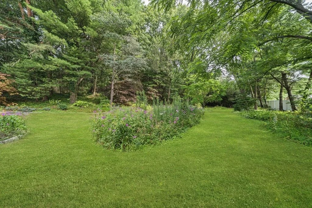Photo of 36 Vine Street