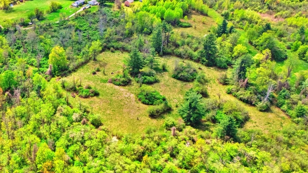 Photo of 97 Luce Rd