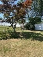 Photo of 77 Manistee Street