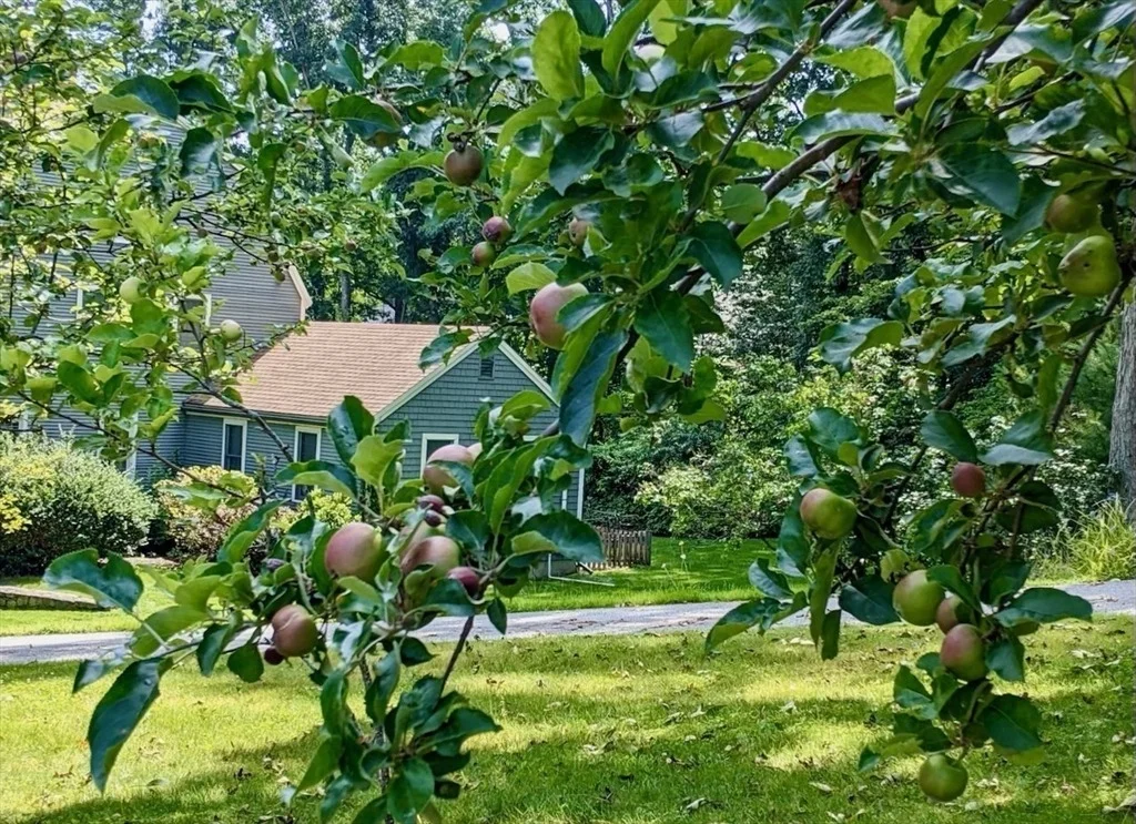 Photo of 20 Boyd Circle