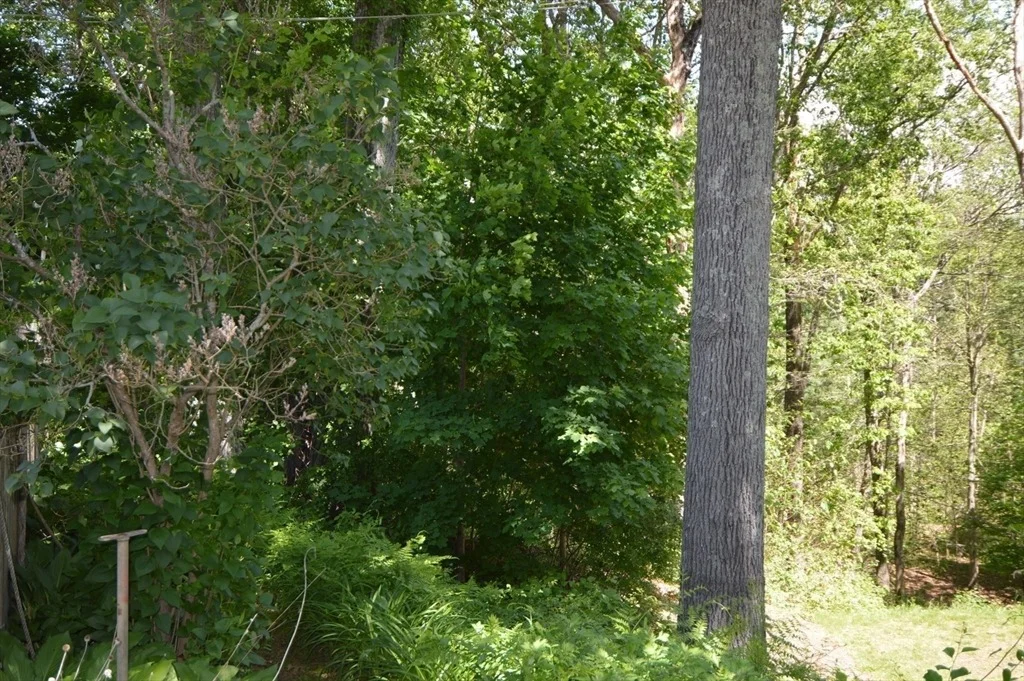 Photo of 22 Buddy Kearney Lane